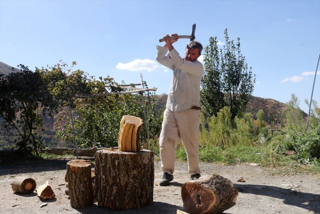 Terörün susturduğu köy, arılarla tekrar hayat buldu 16